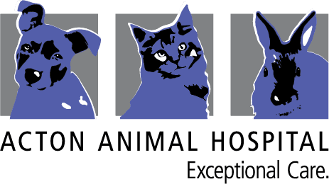 Acton Animal Hospital Logo Color Tagline