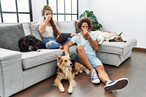 young-couple-relaxing-on-couch-holding-their-noses-because-of-their-smelly-dogs