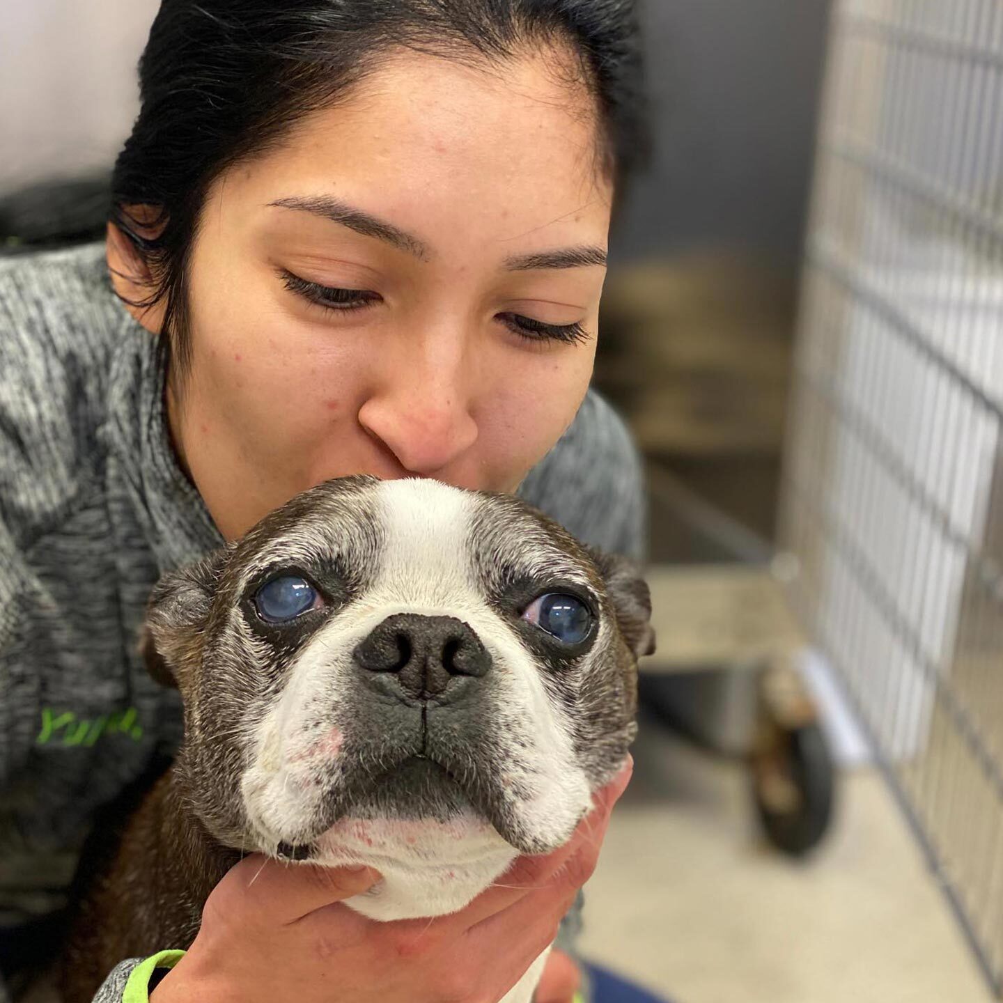 female staff member kissing senior dog on top of head