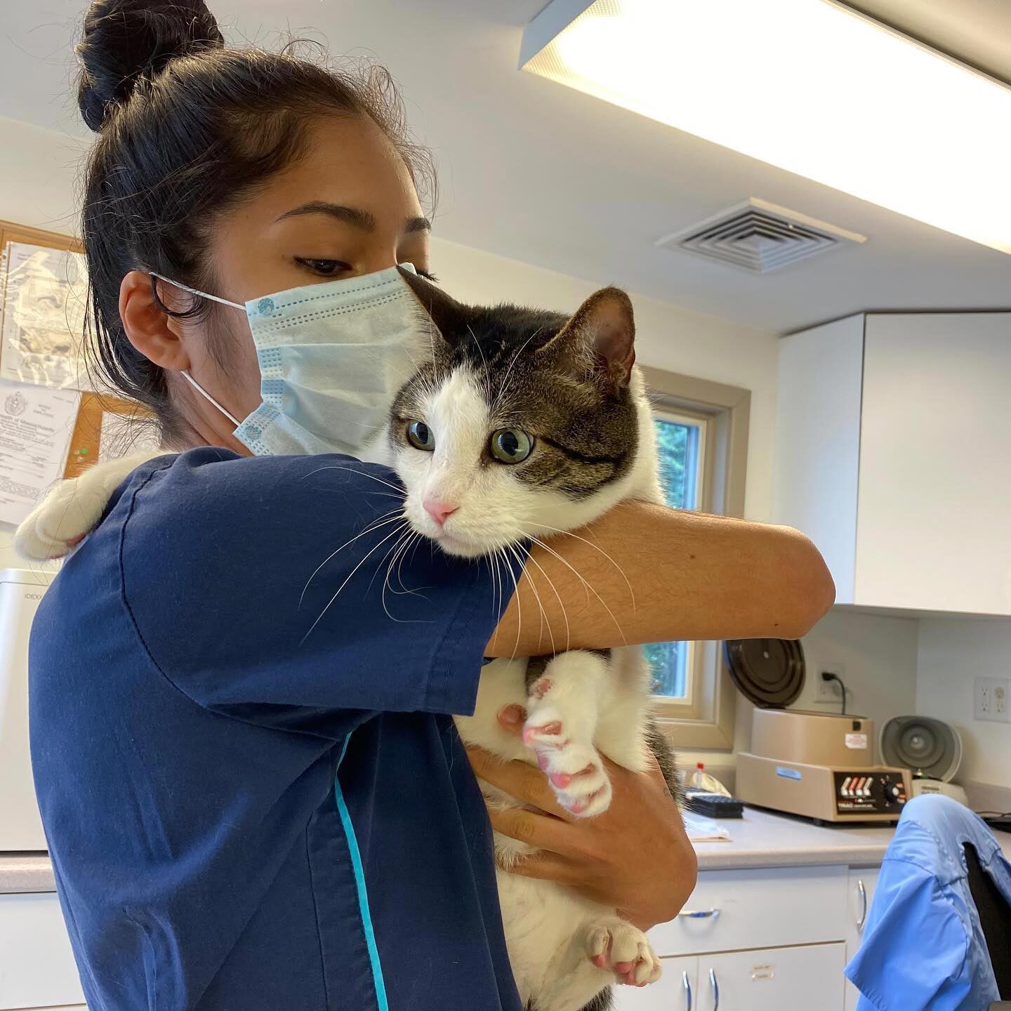 Staff Member Hugging Cat To Chest