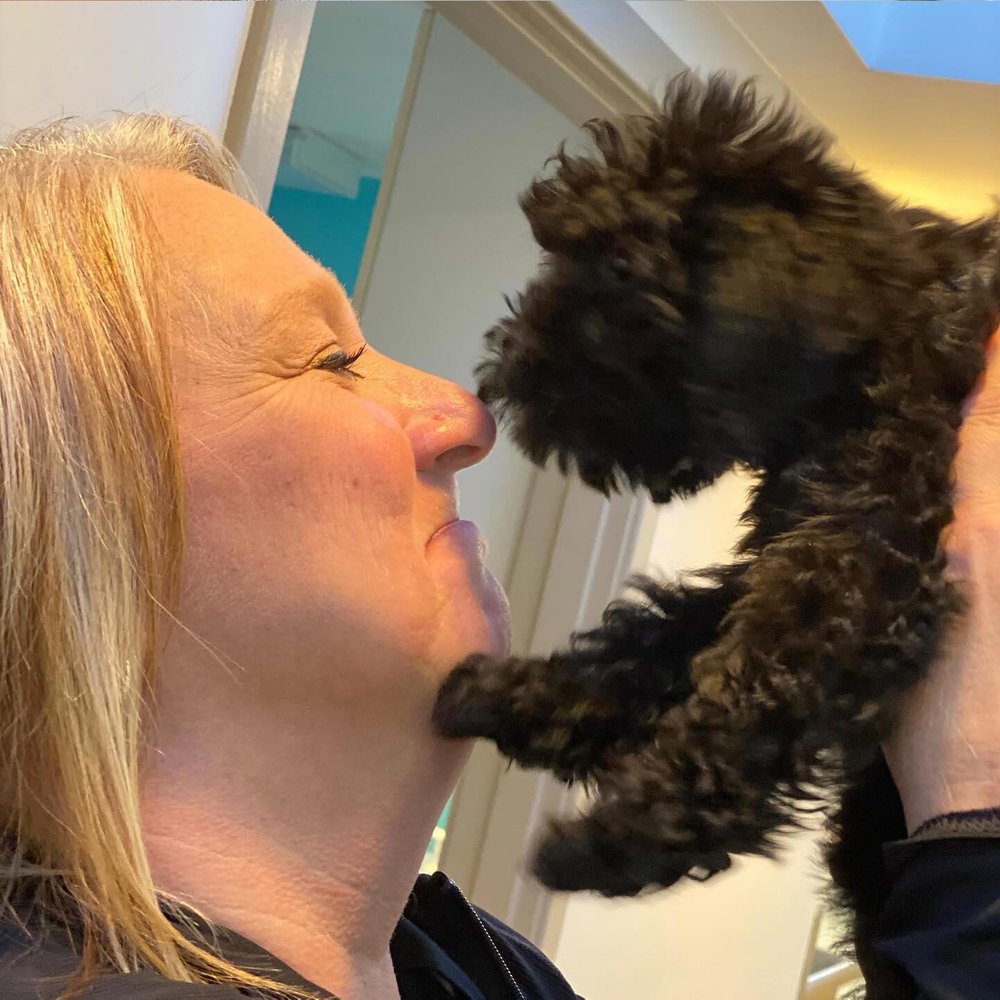 Staff Member Nuzzling Small Fluffy Black Puppy