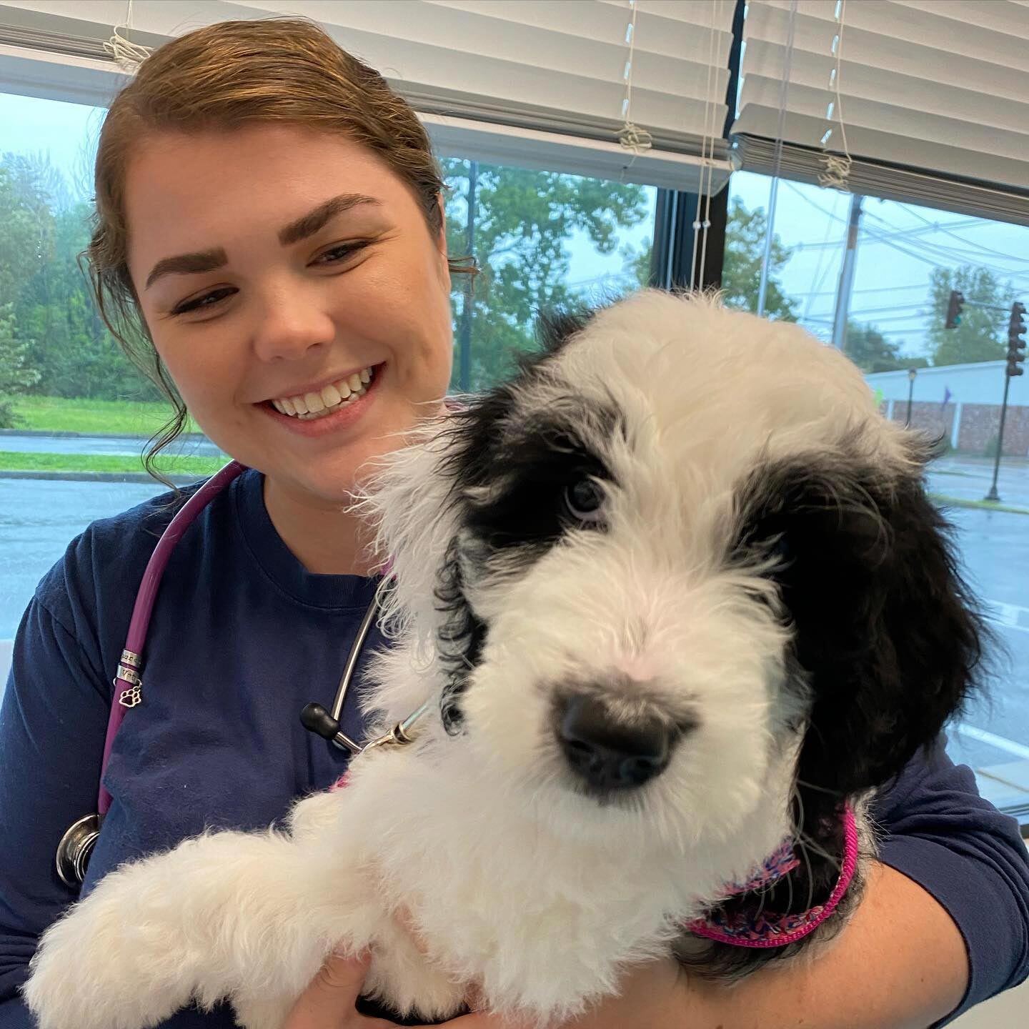 Staff Member Smiling And Holding Black And White Dog