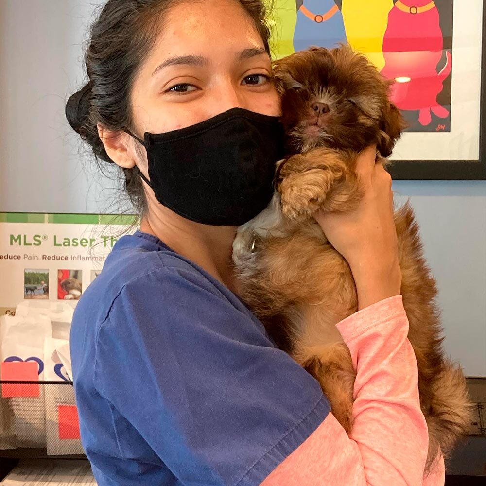 Staff Member Snuggling Fluffy Brown Dog