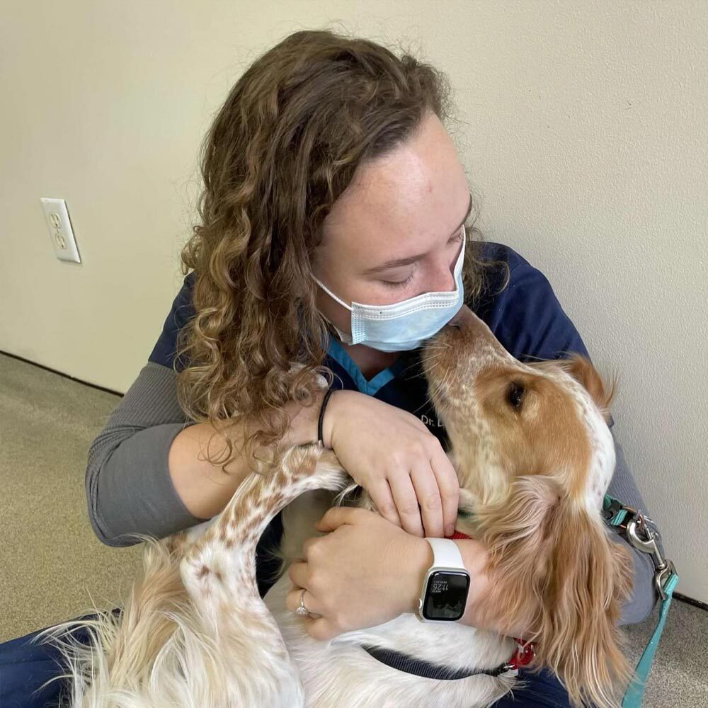 Staff Member Snuggling With Dog On Floor