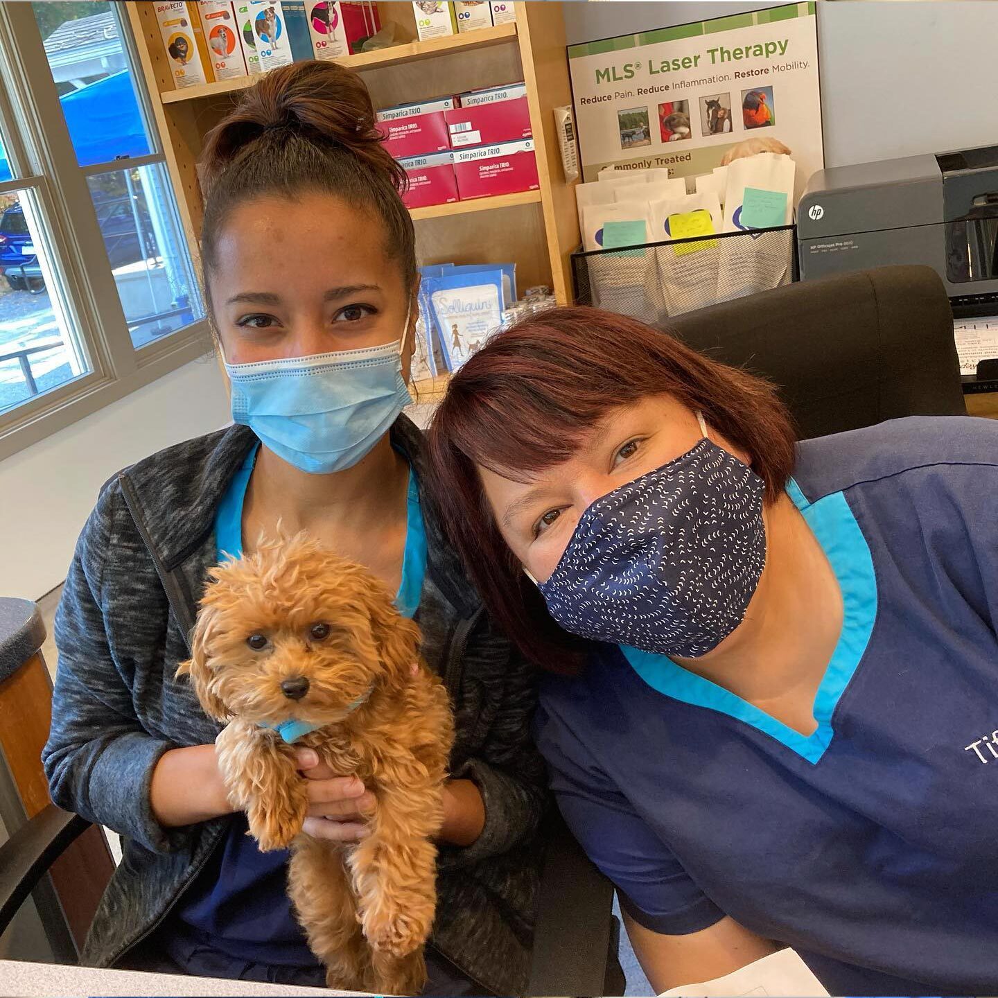 Staff Members Holding Small Fluffy Dog