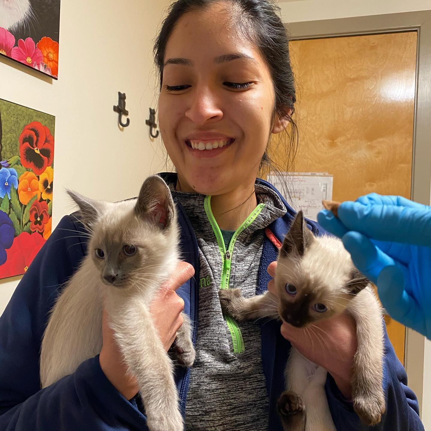 Vet Tech holding Two Kittens